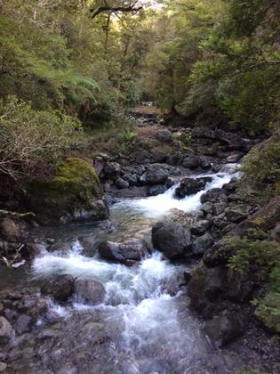 Side stream on the track to Atiwhakatu.
