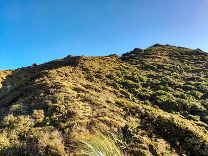 Descending to South Saddle