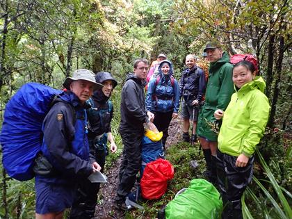 Wet on the Kokowai Track