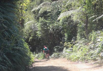 Lovely hills to whizz down (or gingerly cruise down for me!) (photo : henry fisher)