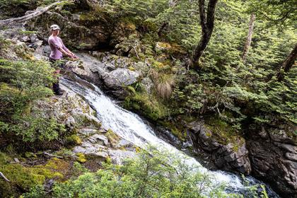 Tramper next to ruching stream in bush