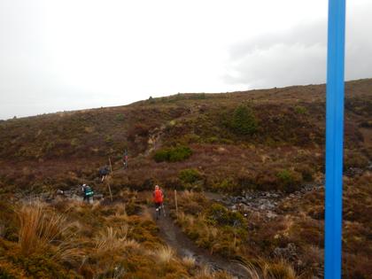 On track to Mangatepopo Hut