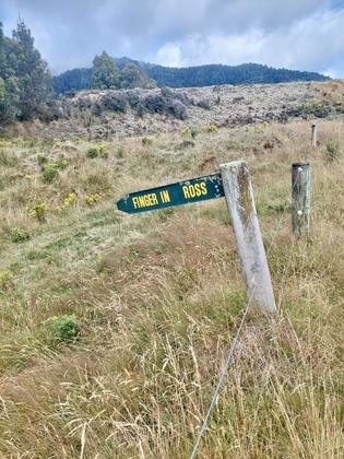 There are many turn-offs along the Poronui access route, but we played it safe and stuck to the DOC triangle-marked path.