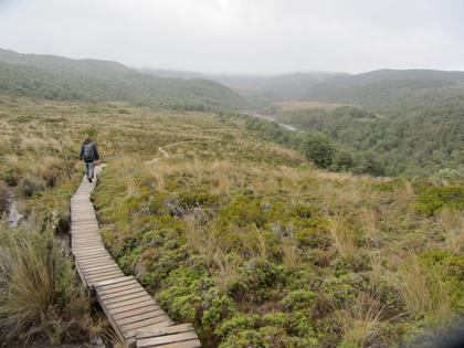 MangahuiaStream