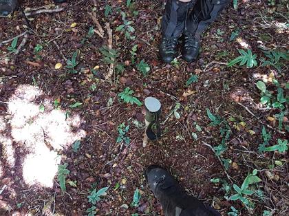The unassuming spot height of Mick, marked by a solitary walking pole. Photo credit: Pat