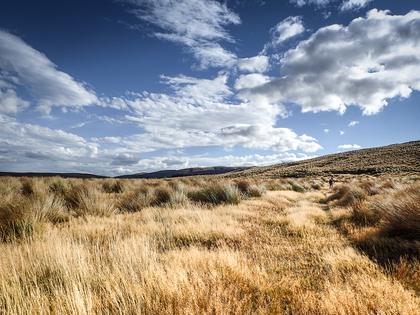 Mountain biking the Omarama Saddle Ridge Track at Manuherikia - Otago