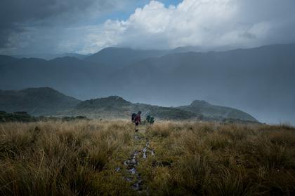Tramping in the rain. Photo: Ian Harrison
