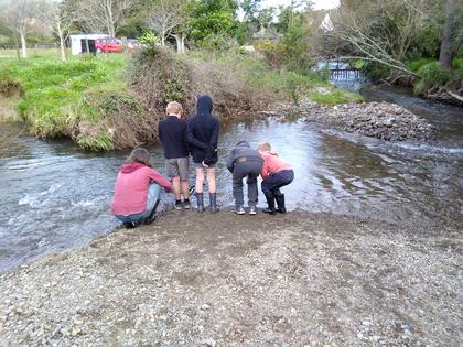 People looking at eels in a river