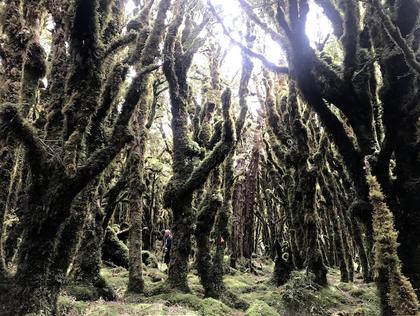 Eerie Marchant Ridge (Photo credit: Sumudu)