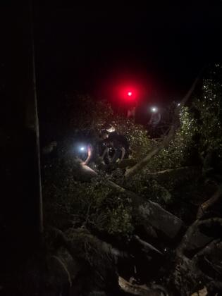 Negotiating tree fall at night