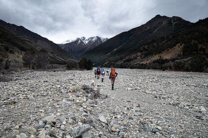 Walking up the lower reaches of Gosling Stream
