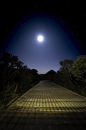 The Pouakai boardwalk