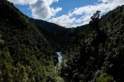 The Otaki River. Photo: Ian Harrison