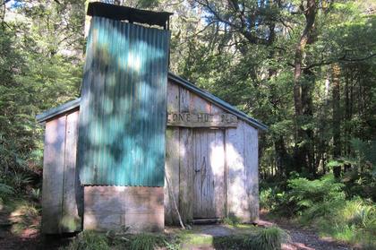 Cone Hut in dappled sunlight.