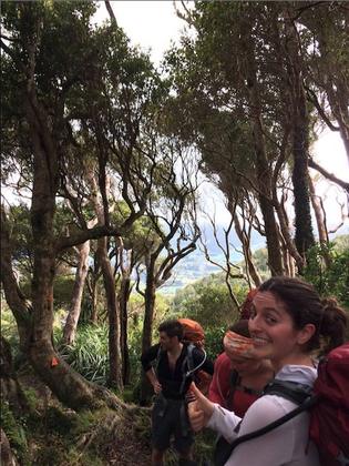 A small view on the way up to Kapakapanui
