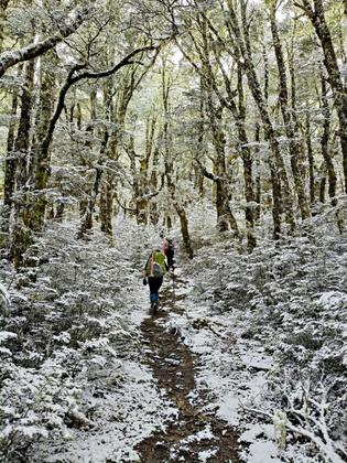 Snowy bushwalk on the way to Faust