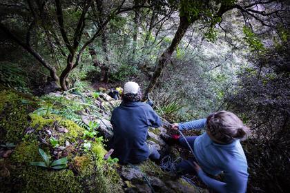 Hauling packs up the step in the Bulmer Bluffs<