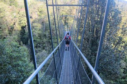 On our way home over the Waiohine Bridge.