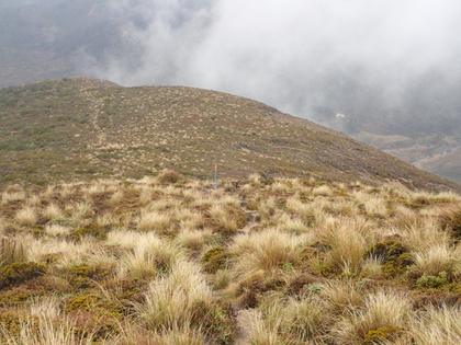 Distant view of Waikapihi Hut