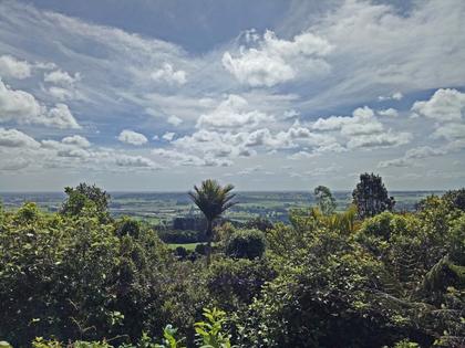 Manawatu Gorge Trail