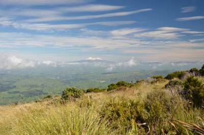 View of Ruapehu