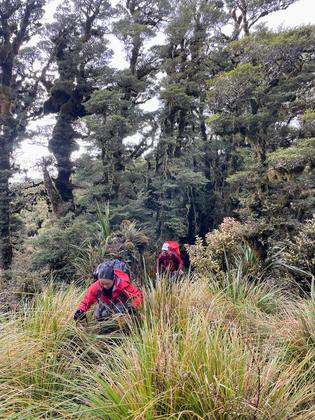 Elizabeth and James work their way towards Waitewaewae Peak. Photo credit: Emily.