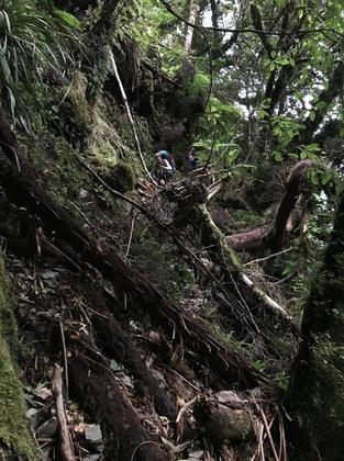 Sidling down a bank to get to the Waitewaewae River. Photo credit: Caryl