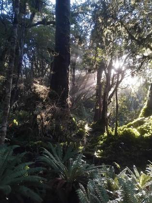 Lost off “track” near Cleft Creek