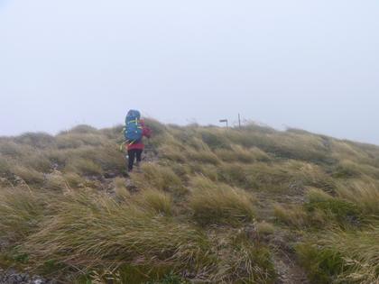 image06a