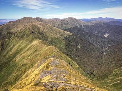 View south from Girdlestone in the Tararua Range