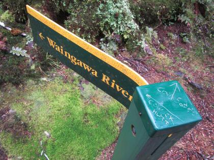 Only the keenest navigators can pick up on the subtle signs that mark another way; a turned leaf here, a broken twig there…