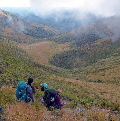 Between Mt Arthur and Gordon's Pyramid