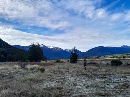 Poulter Valley towards Poulter Hut